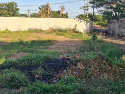 Bán 306m2 lô góc 1 sẹc 25m phạm hùng ngay ql55 phạm hùng tt đất đỏ,bà rịa vũng tàu 2