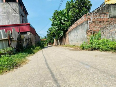 Lô đất full thổ cư, 85m2, mt5m, nở hậu, ô tô thông, vụ bản, sóc sơn 1.97 tỷ. 4