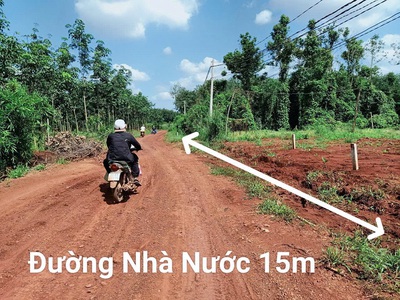Chính chủ bán đất tại lộc quang - lộc ninh - bình phước. 3