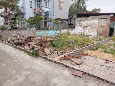 Thửa đất bắc hồng, 58m2,mt4m, gần ô tô, gần đấu giá. 2.55 tỷ. đông anh. 1