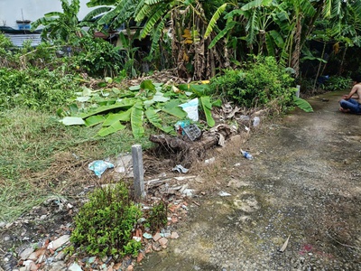 Chính chủ cần bán nhanh đất tại xã hưng long, bình chánh 2