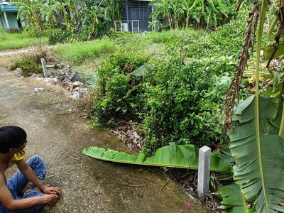 Chính chủ cần bán nhanh đất tại xã hưng long, bình chánh 3