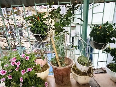 Cần bán căn hộ TT phố 8/3, Hai Bà Trưng 25m, nhà đẹp, tặng nội thất giá 900 triệu 3