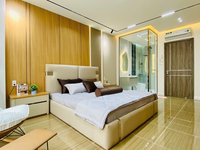 Bán Siêu Phẩm Nhà Phố Khu Đồng Bộ Đường Phạm Văn Chiêu, Quận Gò Vấp 10