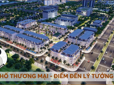 Cực hiếm chỉ 8lô lk 2mặt tiền himlam boulevard cửa ngõ ql1a, kinh doanh hết nước chấm, ck cao 4