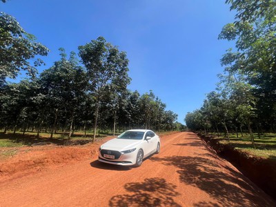 Bán rất gấp 2 lô đất 10x38 368m2 sổ hồng riêng, thổ cư full, view suối tự nhiên, giá 190tr/sổ 2