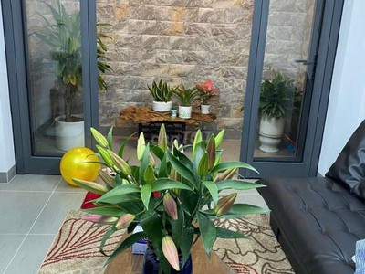 Chính chủ bán nhà đẹp 5 tầng,Mặt ngõ,Oto, có thể Kinh doanh nhỏ tại số 9B ngõ 193/22 Bồ Đề 6