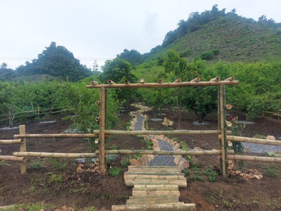 Chính chủ cắt lỗ 800m2 đất tại Mộc Châu thích hợp đầu tư du lịch 0