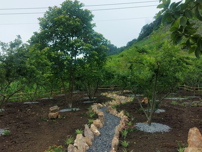 Chính chủ cắt lỗ 800m2 đất tại Mộc Châu thích hợp đầu tư du lịch 1