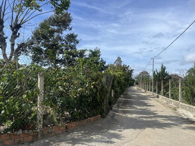 Bán Lô Đất View Sông Tại Ninh Gia Đức Trọng Lâm Đồng 2