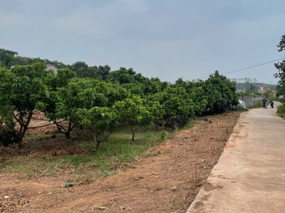 Mở bán gấp 5 lô f0 tại thôn mịn to xã trù hựu lục ngạn bắc giang 1