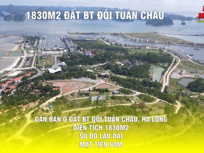 Bán ô đất biệt thự siêu khủng đồi Tuần Châu 1830m2 giá chỉ 20 triệu/m2 mặt tiền đến 60m 0