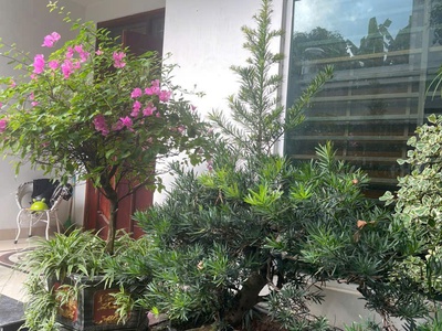 Bán nhà biệt thự băng 2 đường phạm văn đồng, Tích Sơn, Vĩnh Yên, Vĩnh Phúc. Giá chỉ 6,5 tỷ 1