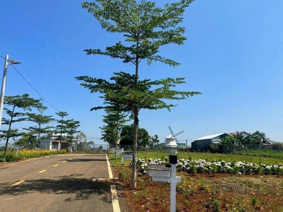 Cần tiền nên thanh lý  230m2 có 50m2 Thổ cư ở Minh Lập, Thị Xã Chơn Thành giá 202tr  Bao sang tên 0