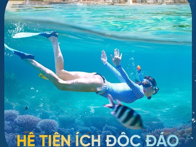 Độc quyền căn studio libera nha trang view biển, giá trực tiếp cđt ck 5 1