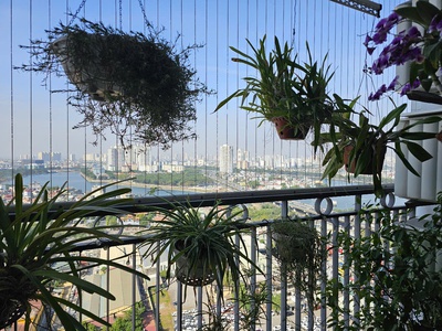 Bán căn hộ tòa b1 green park phương đông, 75m, 2 ngủ, nhà đẹp, sđcc, 4.7 tỷ 1