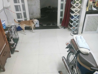 Giá mới 2.6 tỷ,- p1 gò vấp- ngay bình thạnh phú nhuận-25m2- 3 tầng 2pn 3wc - sổ mới hoàn công đầy 3