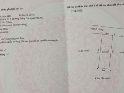 Bán đất ngõ 3m tại ngõ 217 Cát Linh, Tràng Cát. 0