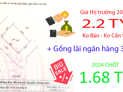 Lô đất 3 mặt tiền biển hải ninh cực đẹp. Hàng hiếm lần đầu xuất hiện trên thị trường. 4