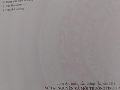 Bán gấp 4919m2 đất chính chủ tại ấp đức ngãi 2, xã đức lập thượng, huyện đức hòa, long an 0