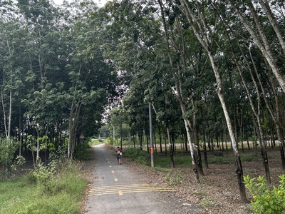 Chính chủ cần bán  gấp lô đất ở tân hiệp, phú giáo, tỉnh bình dương 1