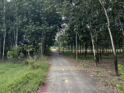 Chính chủ cần bán  gấp lô đất ở tân hiệp, phú giáo, tỉnh bình dương 2