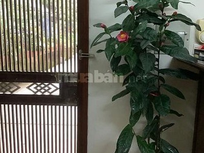 Chính chủ cho thuê nhà tập thể 21 tầng 3 phòng 301 căn góc mặt phố lý nam đế, hoàn kiếm, hà nội 1