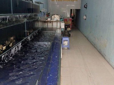 Cần sang nhượng cửa hàng hải sản 2 mặt đường lớn- địa chỉ: 72 ba la, hà đông, hà nội 1