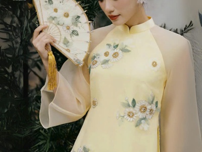 Áo Dài Cách Tân Kiểu mới Truyền Thống và Đương Đại 0