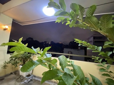 Bán nhà tại nguyễn đình chiểu , phường 2 , quận 3 , tphcm 4