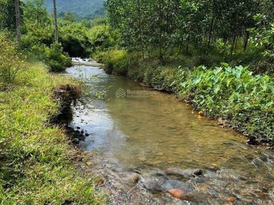 Bán  1 sào 1.033m  2 mặt tiền, ngay dt 756, view sông, sổ hồng riêng nhà hiện hữu bán 220tr 2