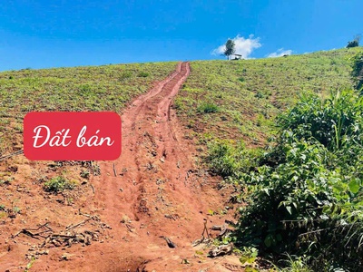 Bán 22000m2  2.2 ha  đất đỏ bazan màu mỡ thế đất đồi view trực diện đập mùa xuân giá 499tr 2