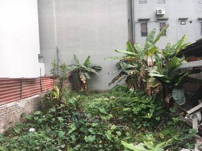 Hiếm Có, Bán Đất Đường Lâm Du, Bồ Đề, Hồng Tiến, 71m2, MT8.2m, Phân Lô, Ô Tô, 12 Tỷ hơn 3