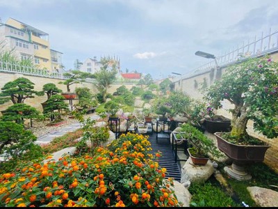 Cần bán biệt thự an Sơn phường 4 thành phố đà Lạt 1