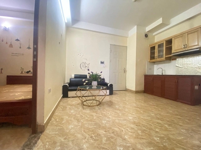 Chính chủ cho thuê căn hộ chung cư mini tại phố Triều Khúc - Thanh Xuân - Hà Nội 1