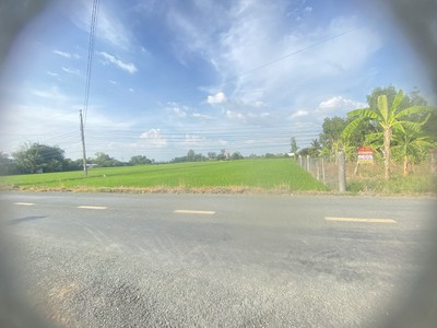 Đất chính chủ lâu đòi - mặt tiền nguyễn quang đại - đường nhựa 8m - 5 phút ra chợ đào , chợ 2