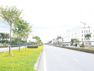 Bán đất đẹp liên mạc quận bắc từ liêm , ngõ ô tô 47m2 nhỉnh 3 tỷ 3