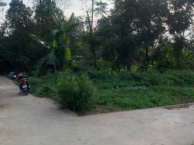 Tiếp tục mở bán mảnh 56,1m lô góc 3 mặt thoáng - trung châu,đan phượng 2