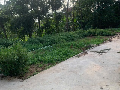 Tiếp tục mở bán mảnh 56,1m lô góc 3 mặt thoáng - trung châu,đan phượng 3