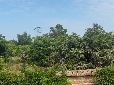 Mở bán 5 lô đất đẹp trung tâm thị xã kiên thành, diện tích từ 310m2 chỉ từ 535 triệu 0