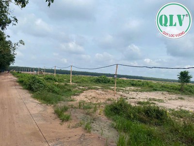 Bán đất trống Diện tích 75 ha nằm  CCN huyện Dầu Tiếng. 4