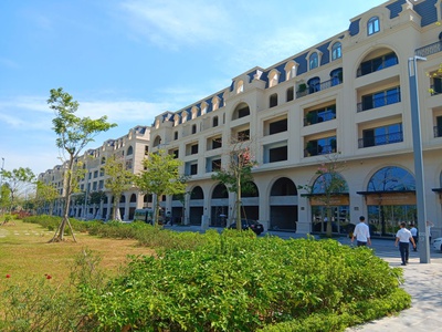 Royal Mansion - Cơ hội đầu tư chỉ dành cho 80 khách hàng đầu tiên 3