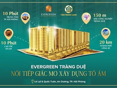 Evergreen tràng duệ hải phòng 2