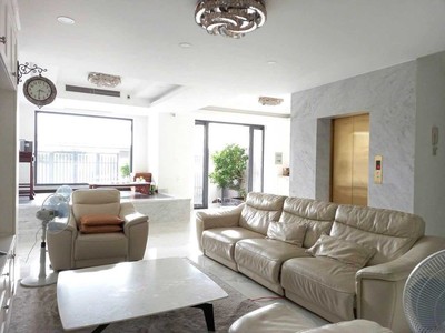 Cho thuê biệt thự sang trọng giá tốt, có thang máy, đầy đủ nội thất, an phú, quận 2 0