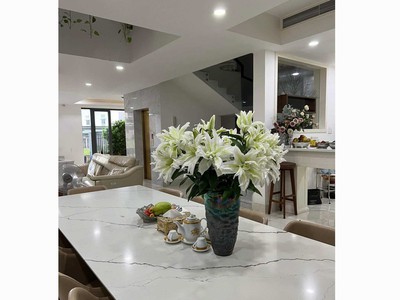 Cho thuê biệt thự an phú quận 2, giá tốt, có thang máy, nội thất sang trọng 1