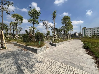 Bán đất KĐT Tuệ Tĩnh mới, ph Cẩm Thương, TP Hải Dương, 69.1m2, mt 4.5m, hướng tây, đường 13.5m 1