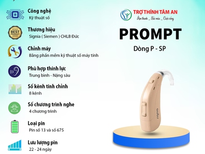 Dịch vụ bảo dưỡng và sửa chữa máy trợ thính 0