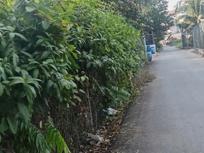 Hot     đất đẹp - giá tốt - vị trí đắc địa tại bình mỹ củ chi. 1/ tỉnh lộ 9 1