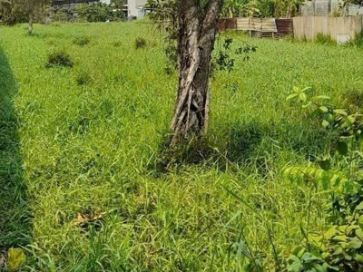 Hot     đất đẹp - giá tốt - vị trí đắc địa tại bình mỹ củ chi. 1/ tỉnh lộ 9 4