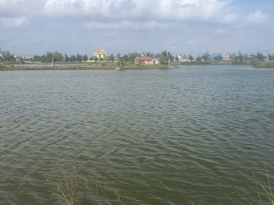 Chính chủ cần bán 2 lô đất liền kề tại giao phong - giao thủy - nam định. 2